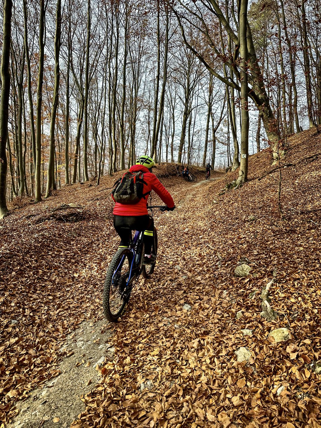 Okolice są wspaniałe na wycieczki rowerowe