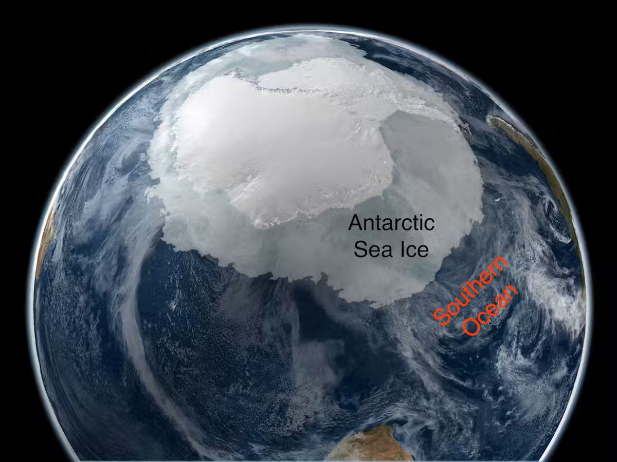 Ocean Południowy otacza Antarktydę, otoczoną lodem morskim