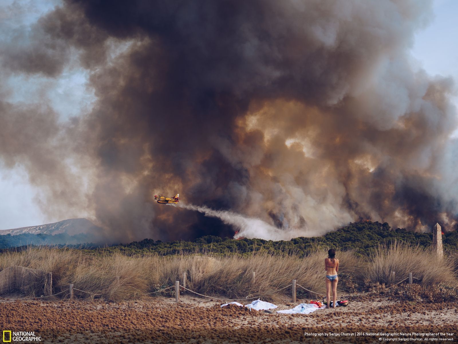 Poznaliśmy zwycięzców konkursu National Geographic Nature Photographer of the Year 2016 16