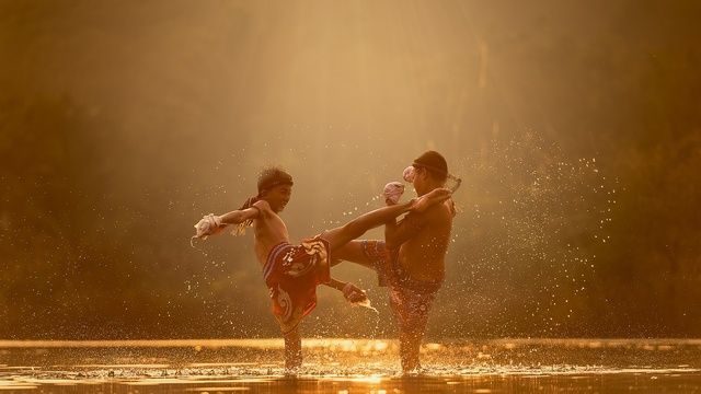 Sportowcy MMA
