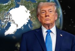 Trump ma "apetyt" na Grenlandię. Ekspert mówi, czy można ją kupić