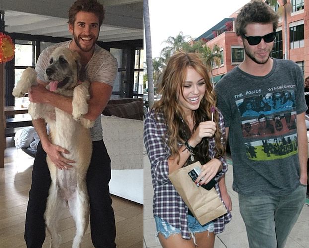 Miley pomogła Liamowi adoptować psa!