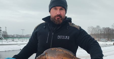 Filet, płat czy dzwonko? W jakiej formie kupić świeżego karpia?