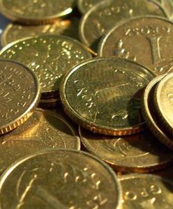 Płacą grosz za sztukę! Wykorzystują zdesperowanych bezrobotnych?