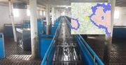 Piotrków Trybunalski: Strefa ASF dusi lokalną hodowlę świń. Decyzje zapadają w Warszawie