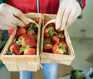 Ceny truskawek odstraszają. Tyle kosztują owoce w warzywniaku