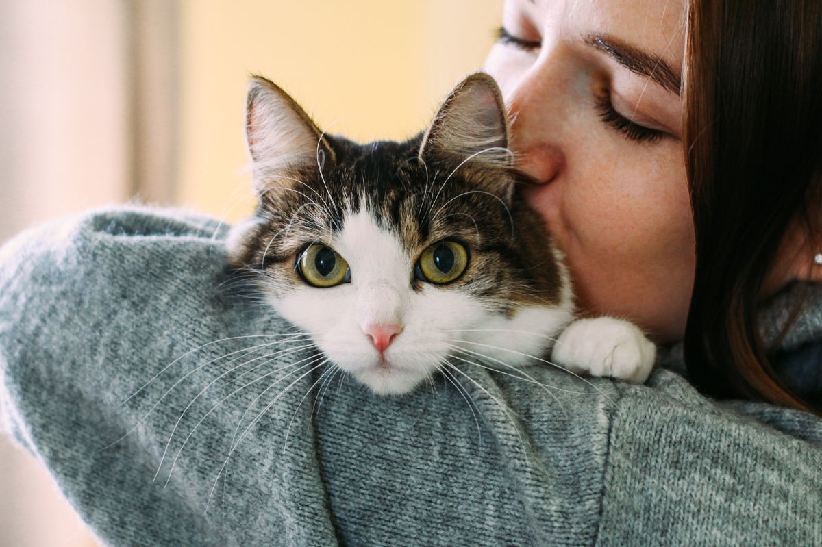 Does your cat smell nice? That scent is not only given off by him.