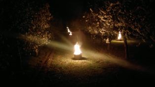 Nocne przymrozki. Kłopoty sadowników w pow. sandomierskim i opatowskim