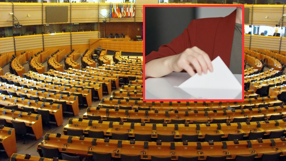 Wybory do Parlamentu Europejskiego 2024. Głosowanie