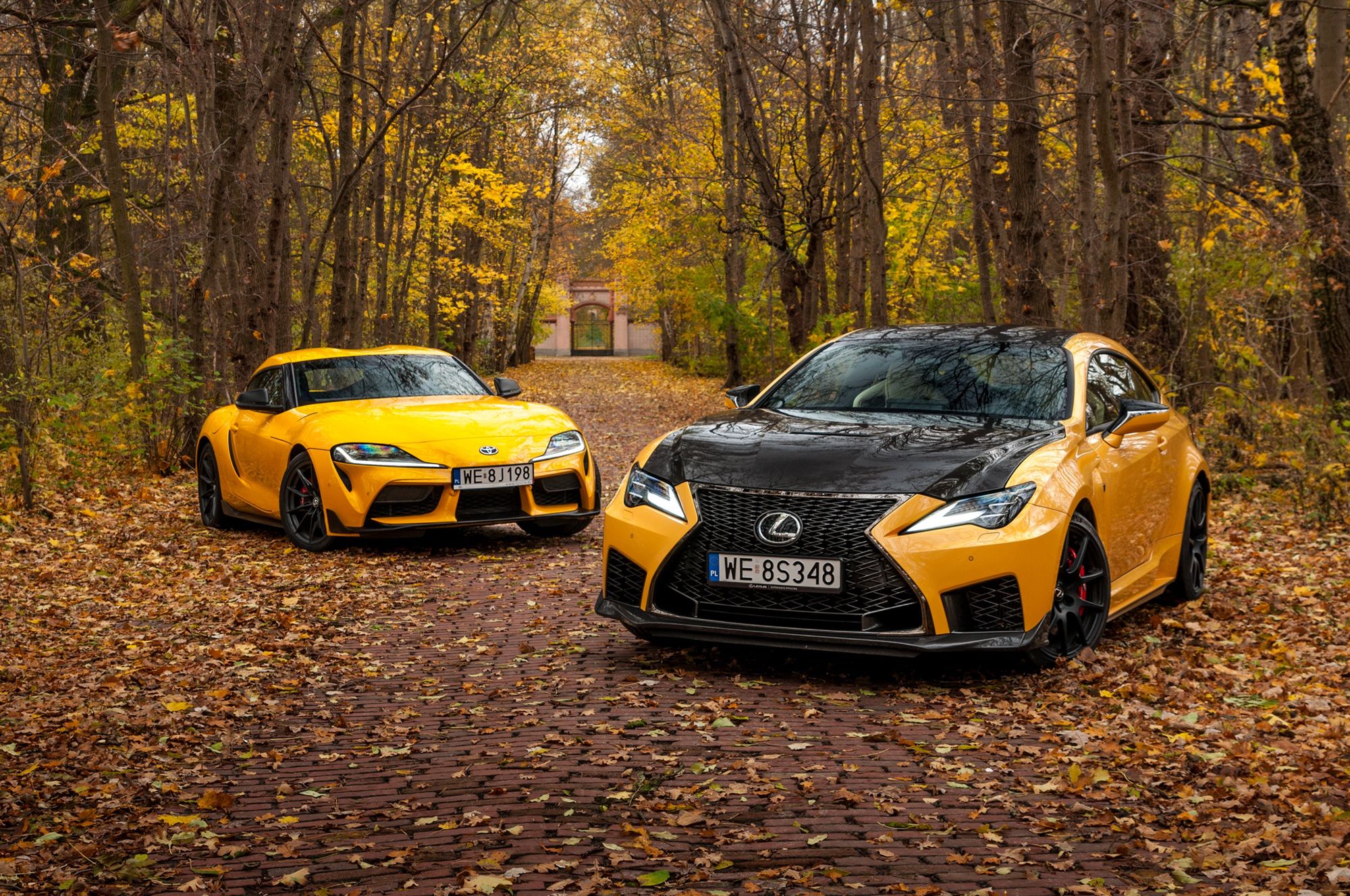 Lexus RC F vs. Toyota GR Supra