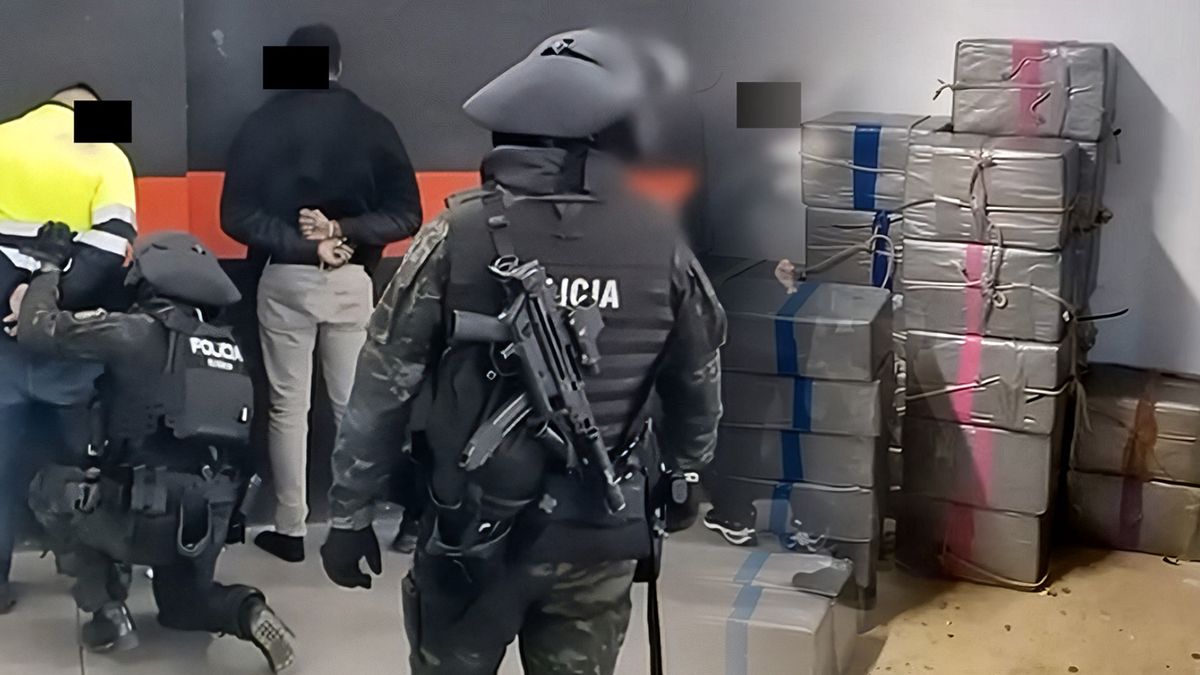 Międzynarodowe uderzenie w przestępczość narkotykową