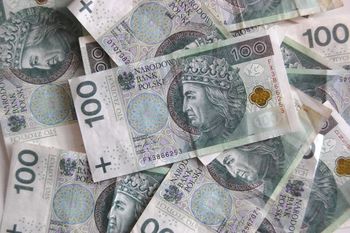 Oszustka usłyszała 160 zarzutów. Łatwo zarobiła 400 tys. zł