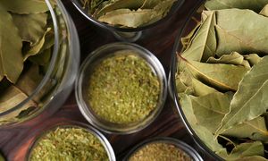 Wiele osób dodaje do rosołu i bigosu. Mało kto się zastanawia, jak naprawdę działają