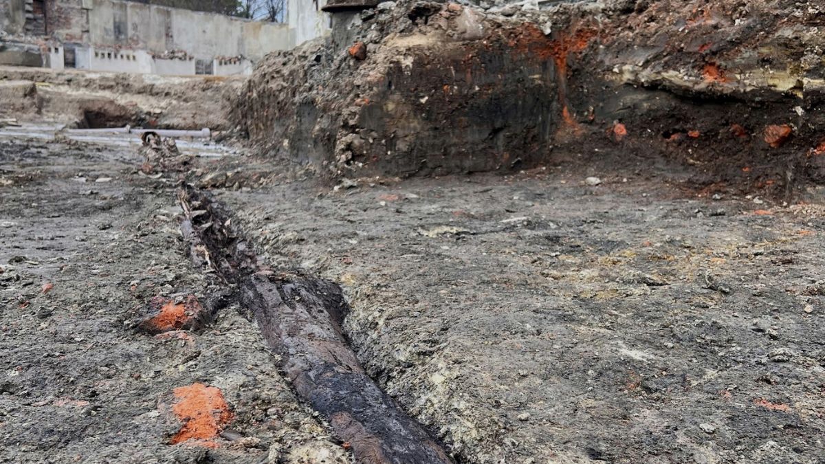 Odkryty drewniany wodociąg w Brzegu