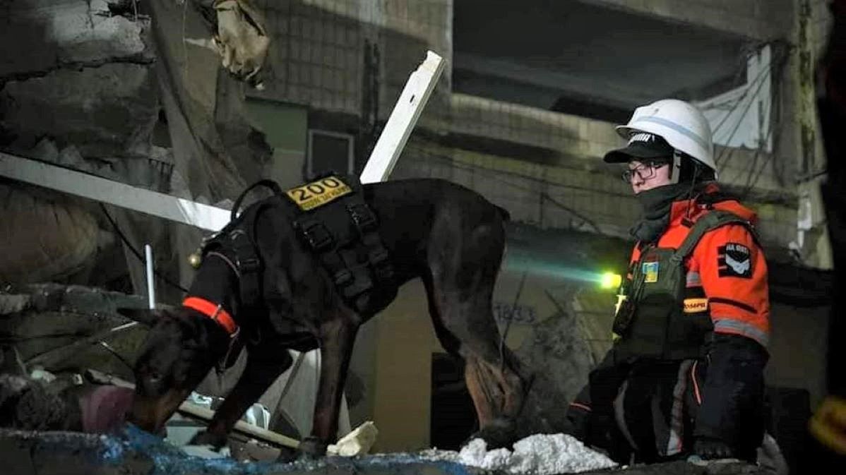 Specjalnie wyszkolone psy poszukiwały ofiar w gruzach po wybuchu rosyjskiej rakiety 