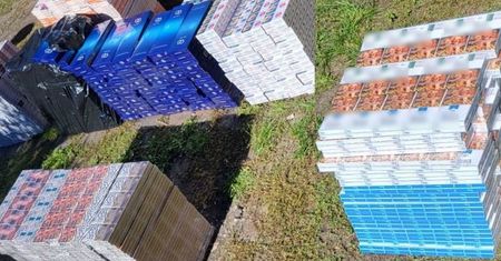 Schował je u mamy. Policja była w szoku