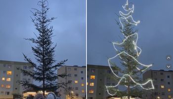 "To jakiś żart?". Pokazali choinkę. Milion wyświetleń