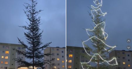 "To jakiś żart?". Pokazali choinkę. Milion wyświetleń
