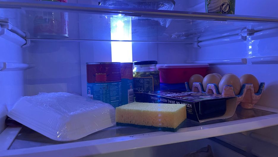 Gąbka może być używana nie tylko podczas zmywania naczyń. Wystarczy włożyć ją do lodówki i pozbyć się powszechnego problemu.