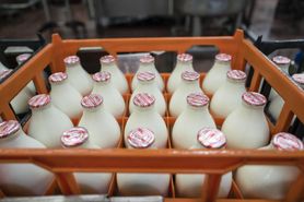 Co jest zdrowsze - mleko pełne czy odtłuszczone? Naukowcy rozwiewają wątpliwości