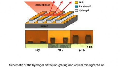 Czujniki z hydrożelu 1