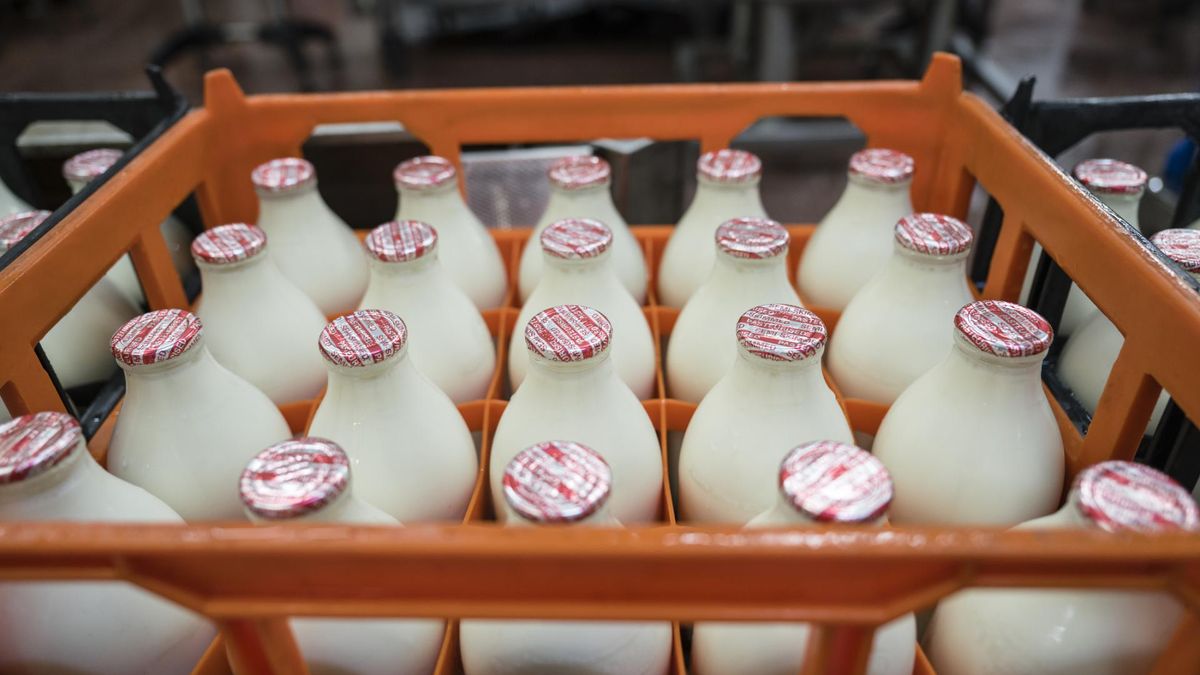 Każdy rodzaj mleka różni się głównie zawartością tłuszczu