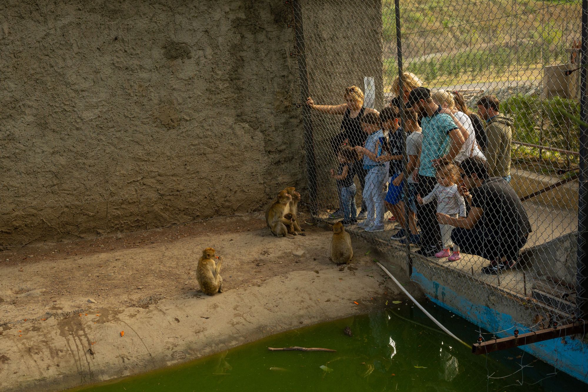Uliczne rozmowy: Maciej Miliszkiewicz 3