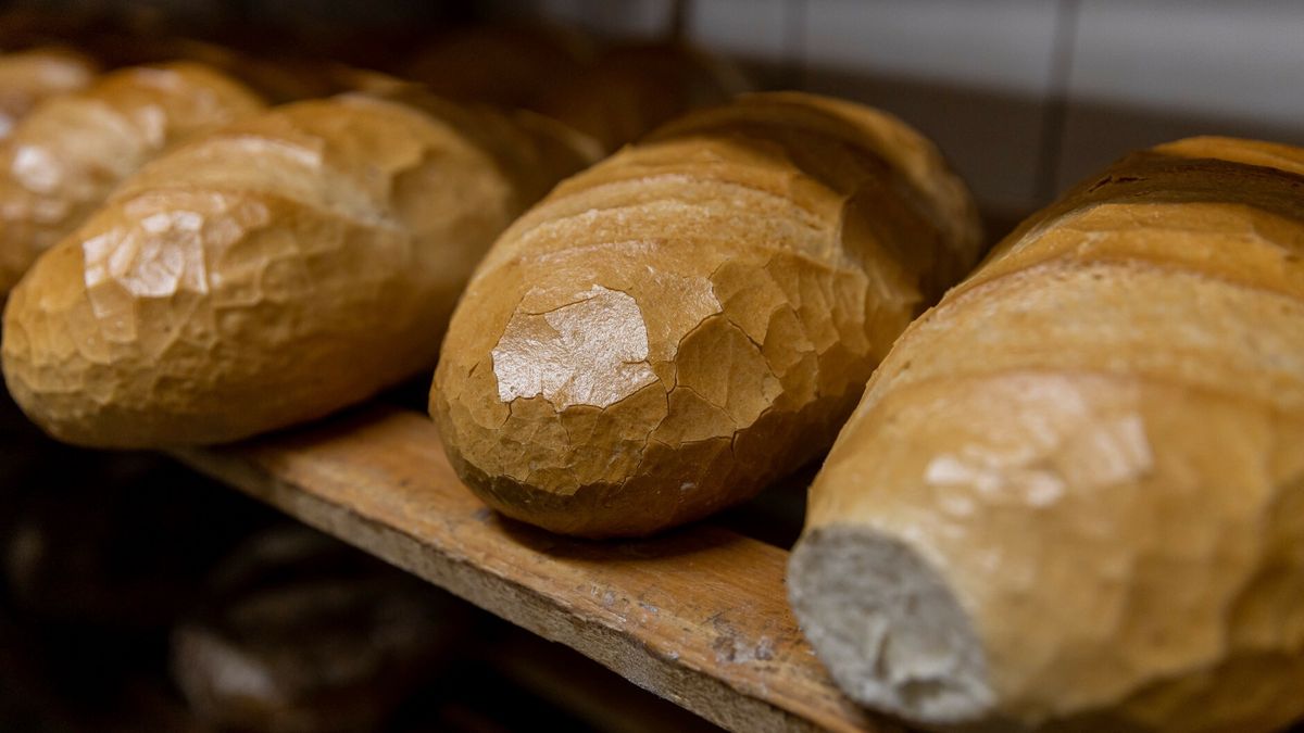 Ukraina jest m.in. czwartym co do wielkości eksporterem pszenicy, którego udział w międzynarodowym handlu wynosi 12 proc.