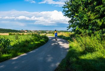 Wielki projekt. Prawie 60 km po malowniczych terenach