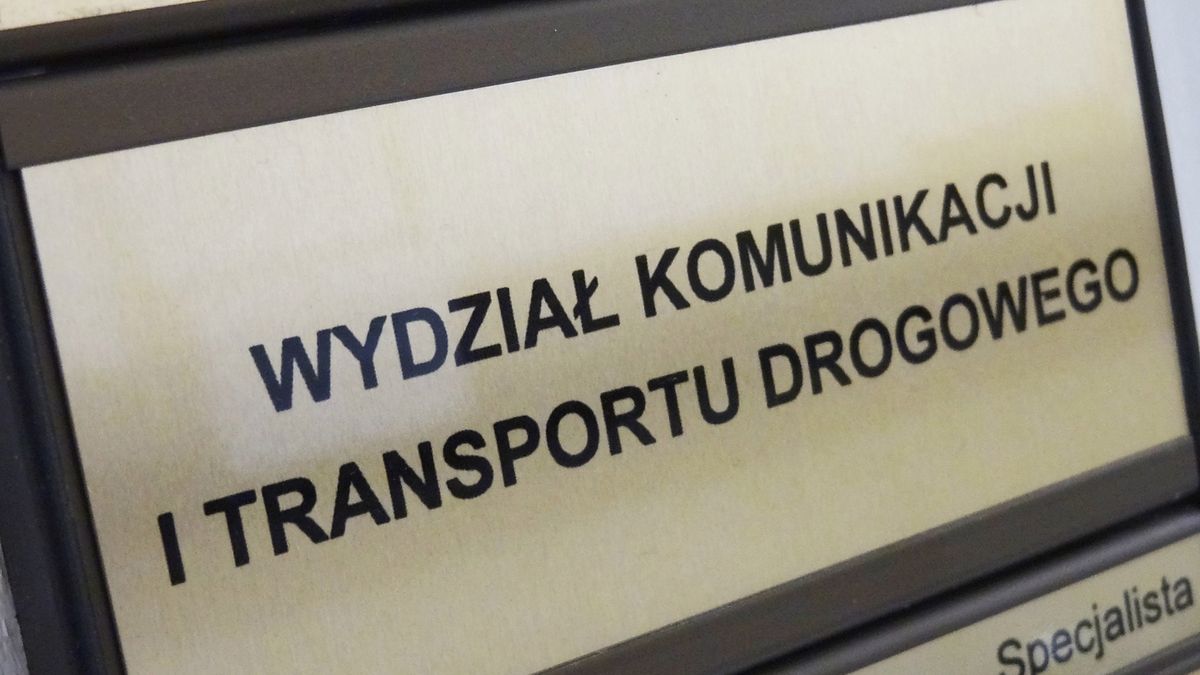 Zdjęcie ilustracyjne do artykułu