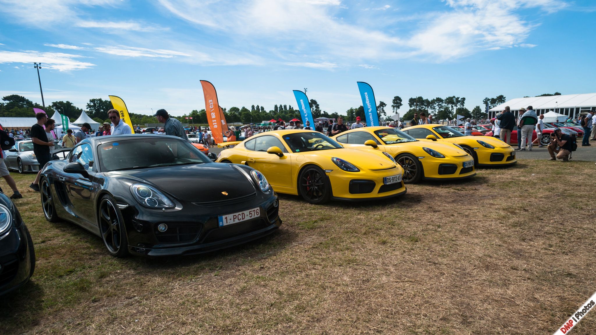 Pełna rozdzielczość