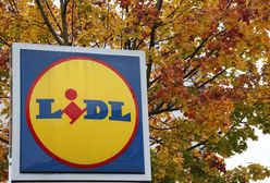Nowe godziny pracy. Lidl podał grudniowy harmonogram