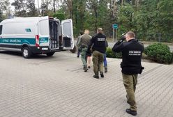 17 zatrzymanych. Wpadli w piekarni. Wśród nich Wenezuelczyk