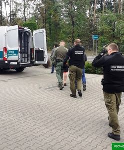 17 zatrzymanych. Wpadli w piekarni. Wśród nich Wenezuelczyk