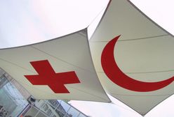 "Tysiące ciał okupantów". Ukraina apeluje o pomoc w wywiezieniu ciał żołnierzy rosyjskich