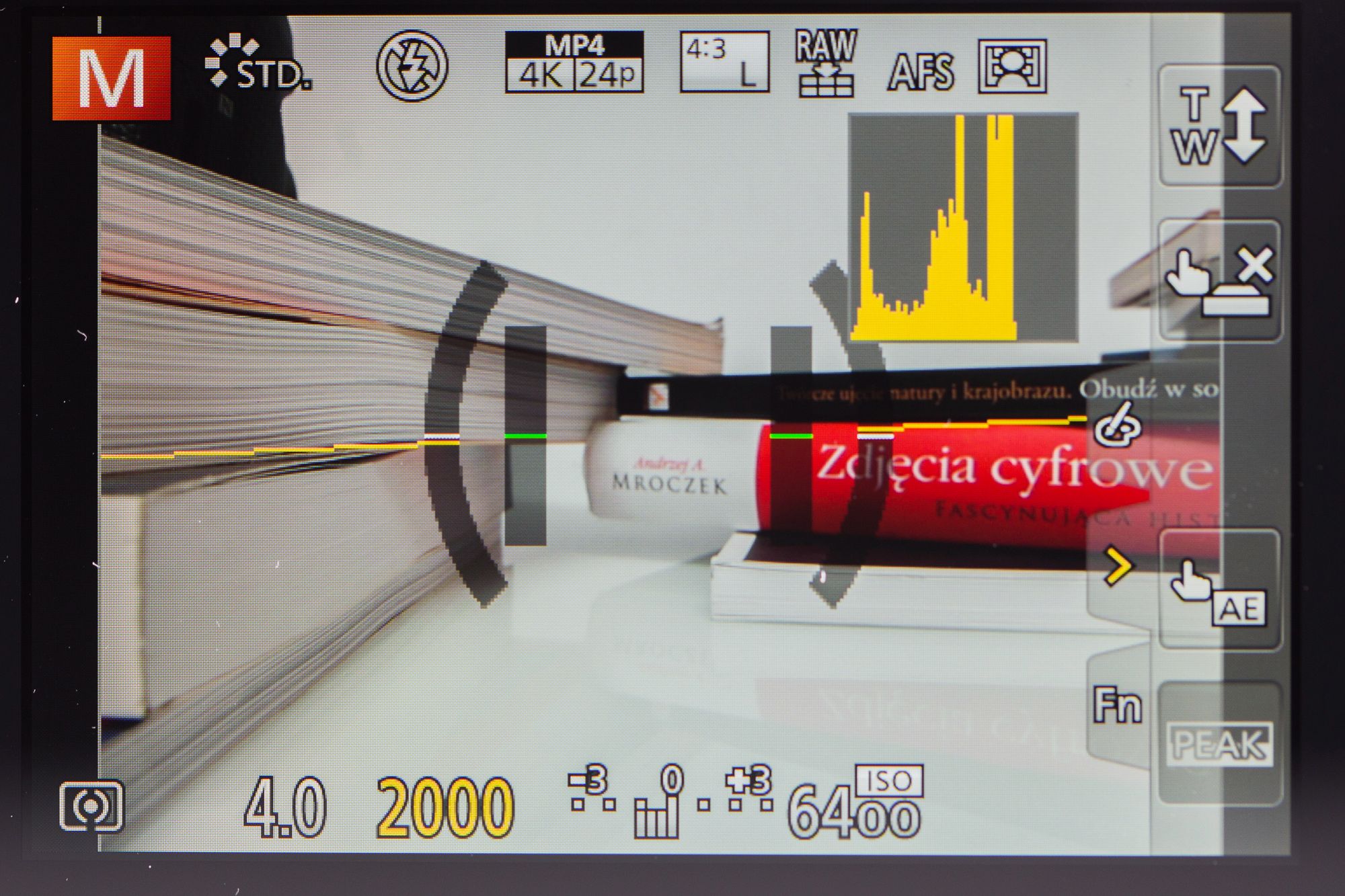 Panasonic Lumix FZ300 - test aparatu z ogniskową 600 mm, światłem f/2.8 i filmami 4K 11