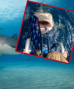 O włos od tragedii. Prawie zanurkowała prosto w paszczę rekina