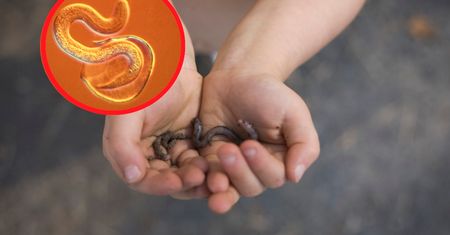 Groźna moda wśród rodziców. Lekarz komentuje "rutynowe odrobaczanie"
