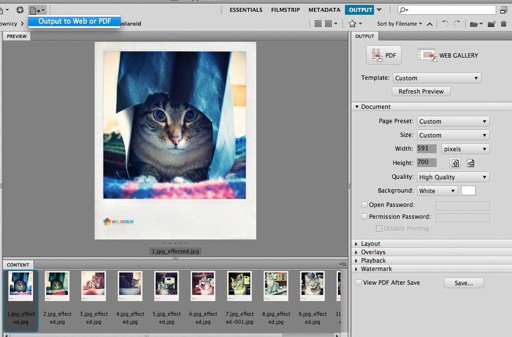 Issuu.com - jak stworzyć własną prezentację za pomocją Adobe Bridge? 5