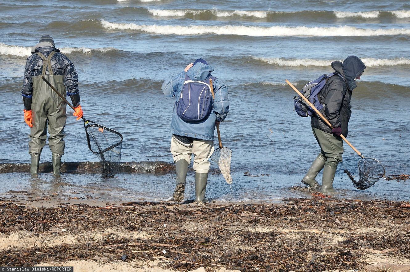 Eldorado nad Bałtykiem. Morze wyrzuciło "pieniądze" na plażę