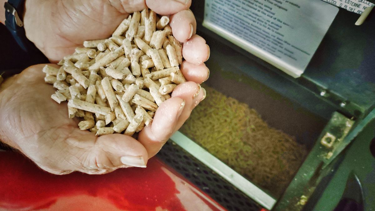 Ministerstwo szykuje zmiany dot. pelletu