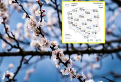 Ciepło, ale burzowo. Nadciąga zmiana w pogodzie