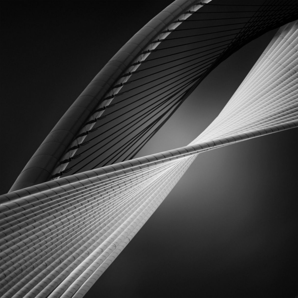 Wielu Polaków na podium w konkursie Monochrome Photography Awards 2017 4