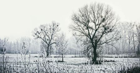 Nowa prognoza długoterminowa IMGW. Kiedy pierwszy śnieg i przymrozki?