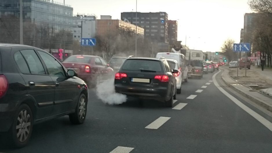 Taki widok niestety nie jest w Polsce rzadkością.