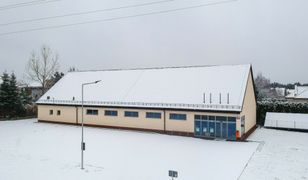 Kilka miesięcy temu mówili o kurniku. Zapytaliśmy w Wilanowie o Dino