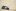 Ford Focus Sedan 1,6 EcoBoost 182 KM Titanium - dylemat [test autokult.pl]