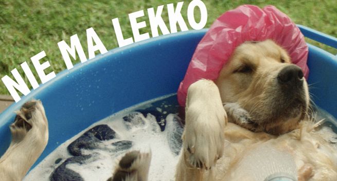 Żywiec w reklamie Jasnego Lekkiego przekonuje "Nie ma lekko? Właśnie Ż jest"