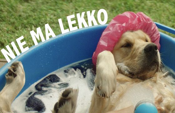 Żywiec w reklamie Jasnego Lekkiego przekonuje "Nie ma lekko? Właśnie Ż jest"