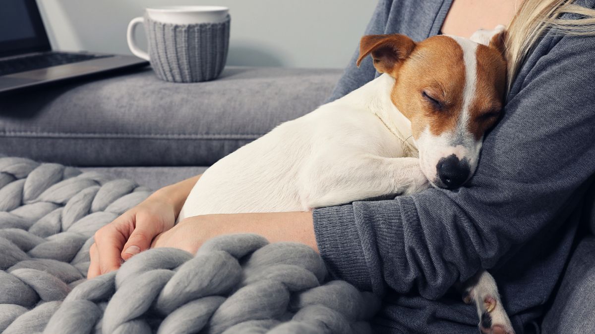 Pies przytula się do właścicielki.